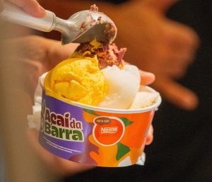 Dia do açaí